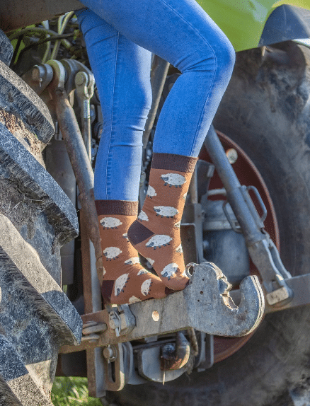 Country Moos Sheep Crew Socks