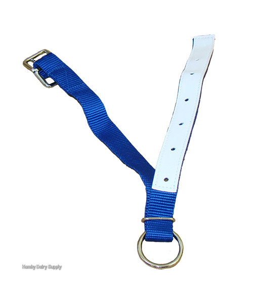 Blue Nylon collar sheep/goat 23 inches