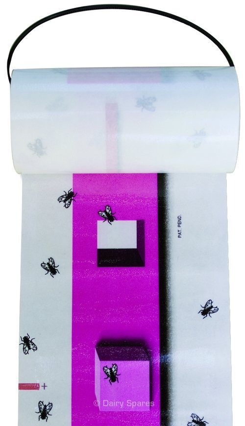 The Fly Roll (Single) – FT12 FT12