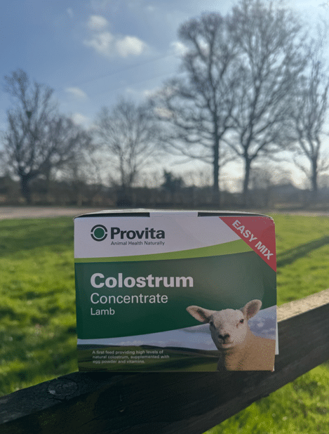 Provita Lamb Colostrum Concentrate
