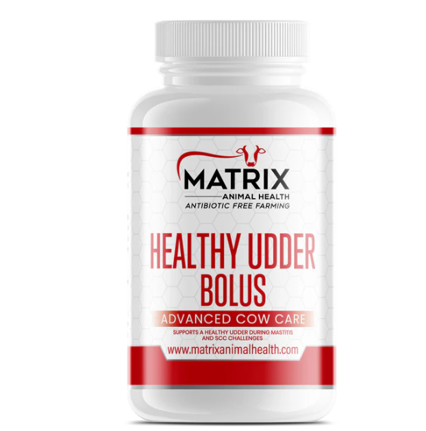 Healthy Udder Bolus