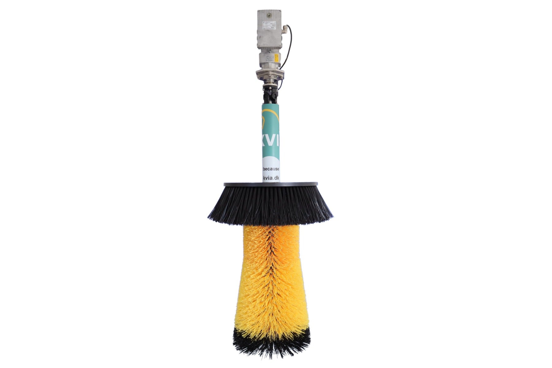 Cow brush Molly — PE Brush