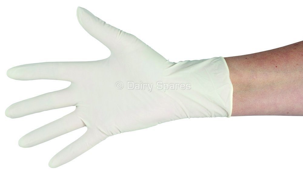 Latex Glove White Powdered (100Pk) – GL40L GL40L