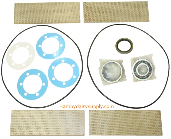 Basic Rebuild Kit for SURGE® ALAMO 60, 75, 100, 1400 Vacuum Pumps 7750-0014-049