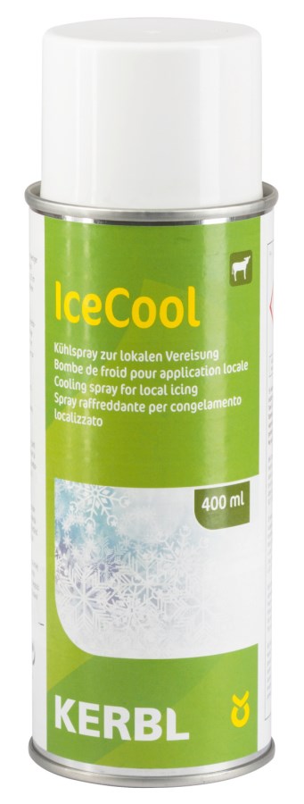 Kühlspray IceCool | 400ml