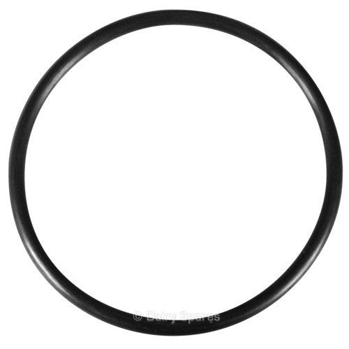febra™ Major Filter Canister ‘O’ Ring (Single) (6068393) – DE038 DE038
