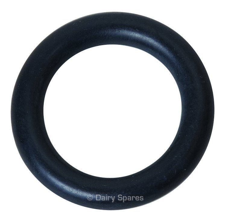 GM2 Graphite Ring ‘O’ Ring Only, Suitable for Delaval/Manus (Single) – 78925