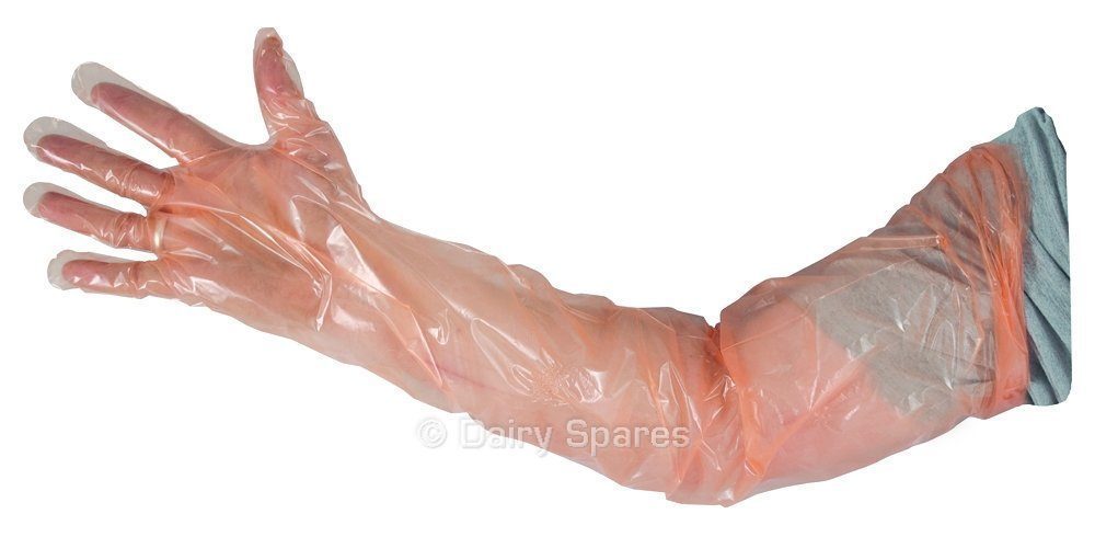 febra™ SOFTIES Examination Glove (100Pk) – AI01S AI01S