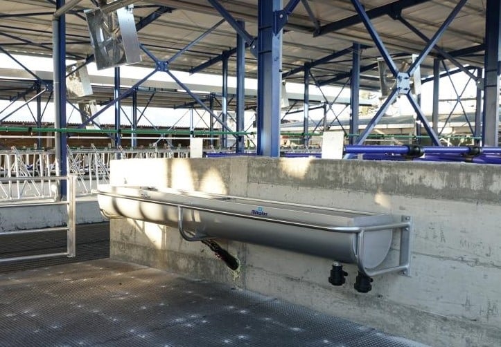 Milkplan Stainless Drinking Trough Wall Mounted AISI 304