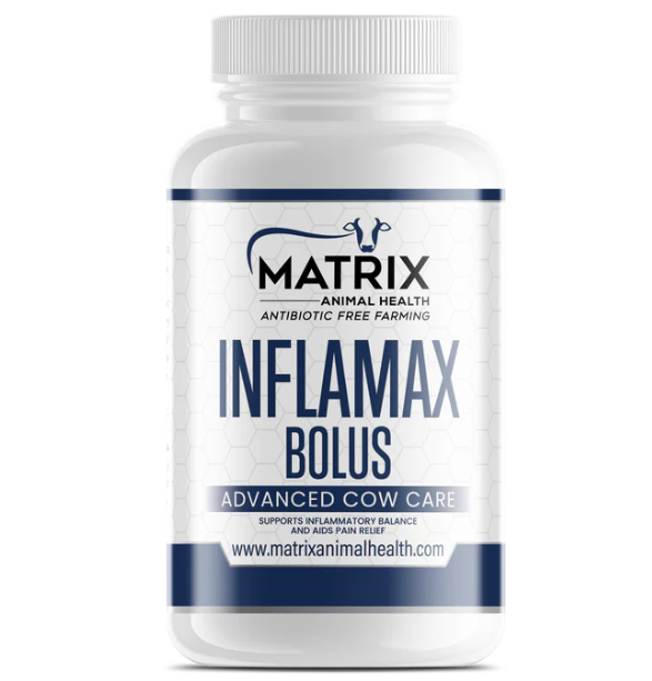 Infla Max Bolus