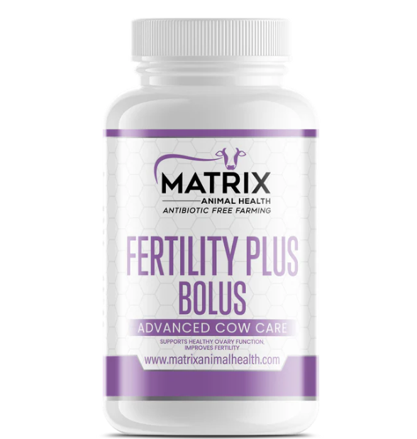 Fertility Plus Bolus