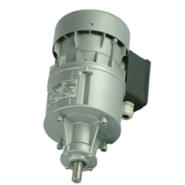 Agitator Motor For DWX 800-2000 0710-101-1130