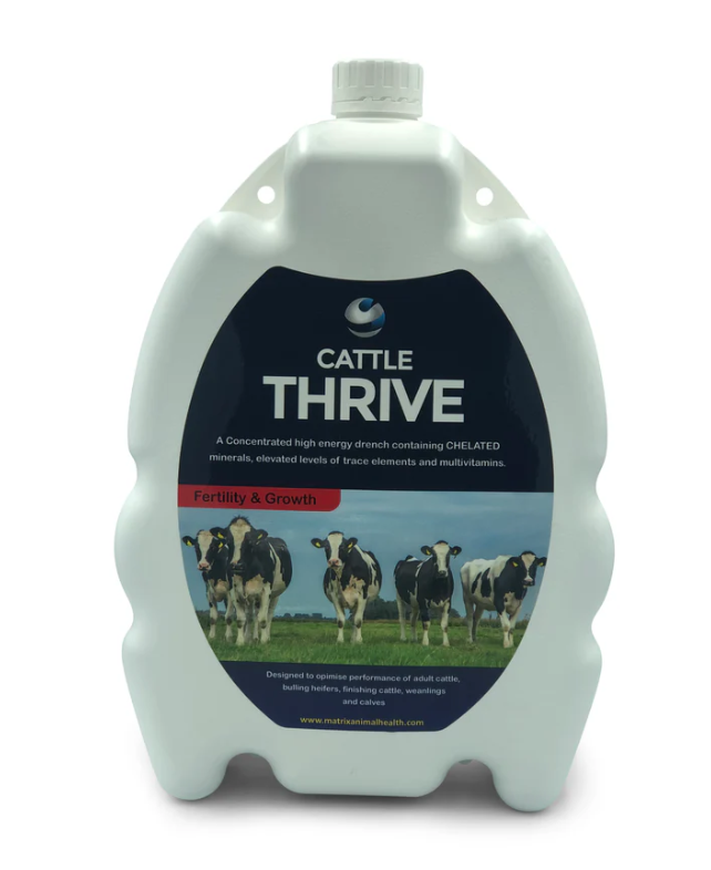 Cattle Thrive