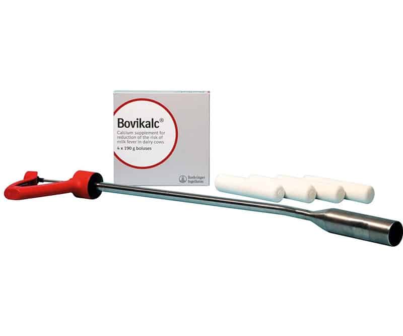 Bovikalc Applicator