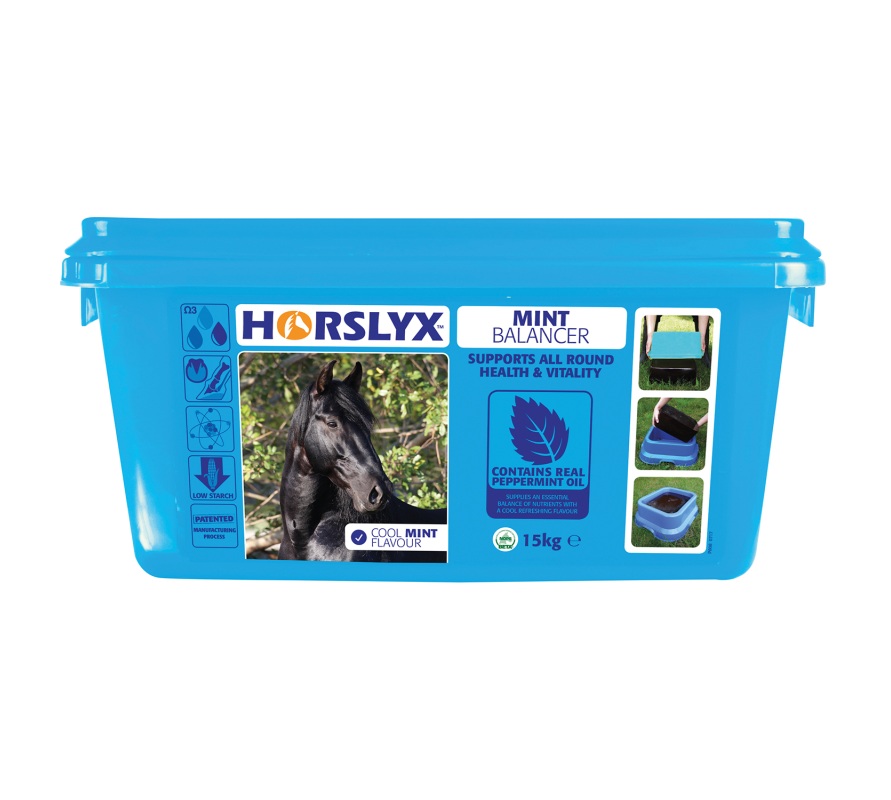 Horslyx Mint Balancer Lick CTH0095 | CTH0523