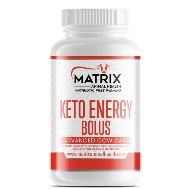 Keto Energy Bolus