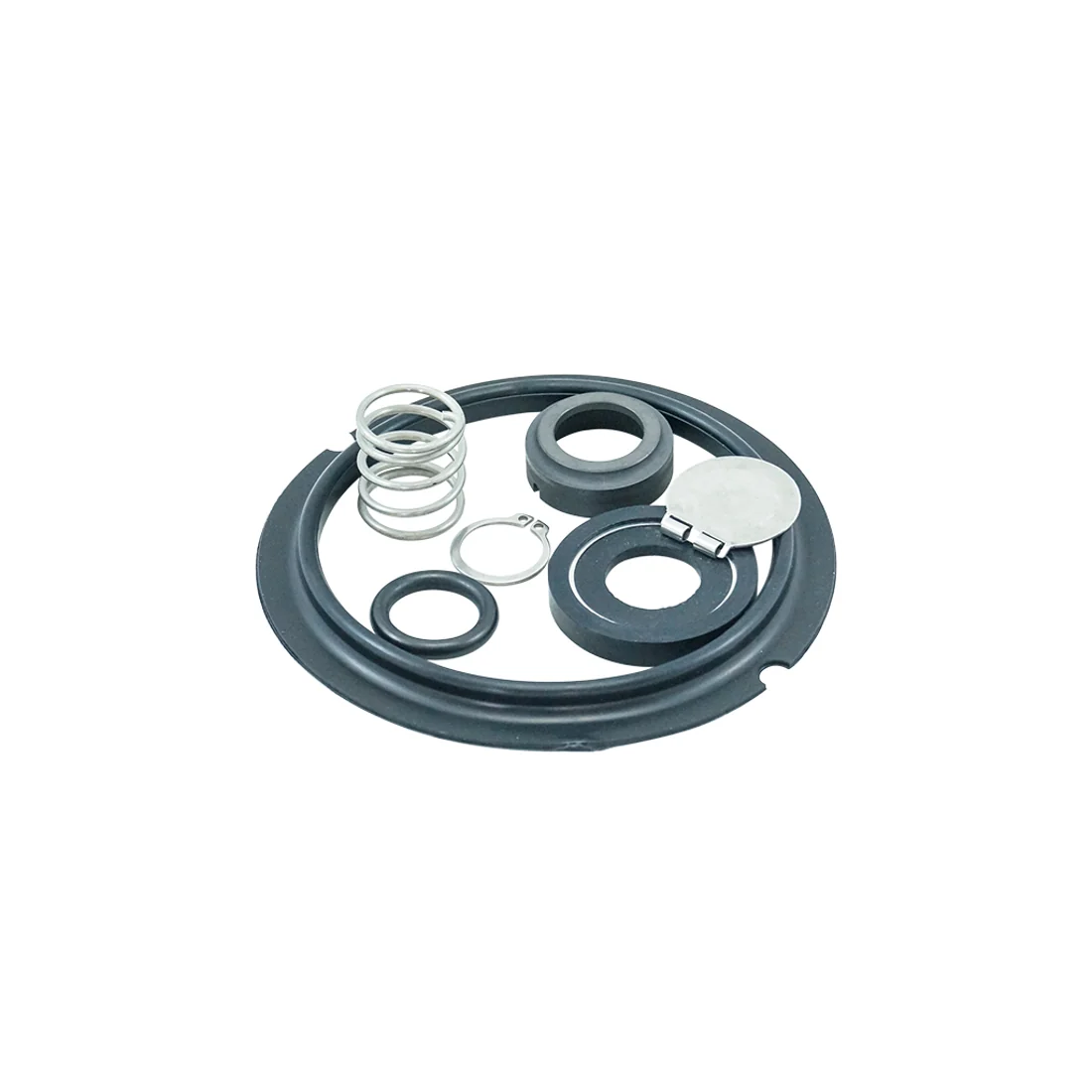 Repair kit milk pump A2