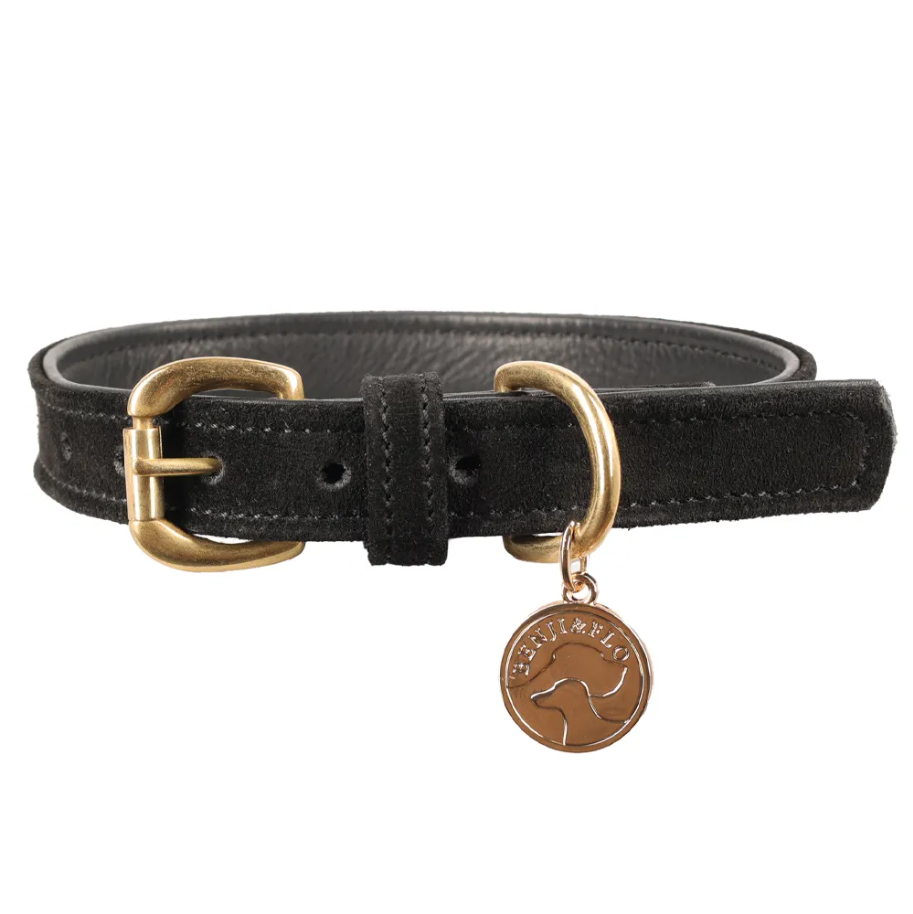 Benji & Flo Noble Suede Dog Collar