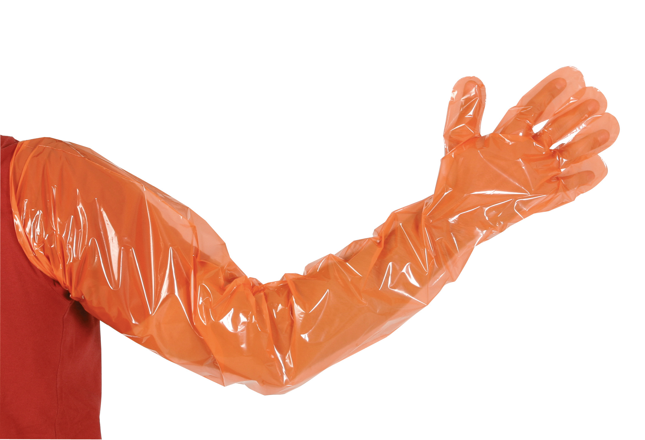 Veterinär-Einmalhandschuh VETbasic | 100 Stück