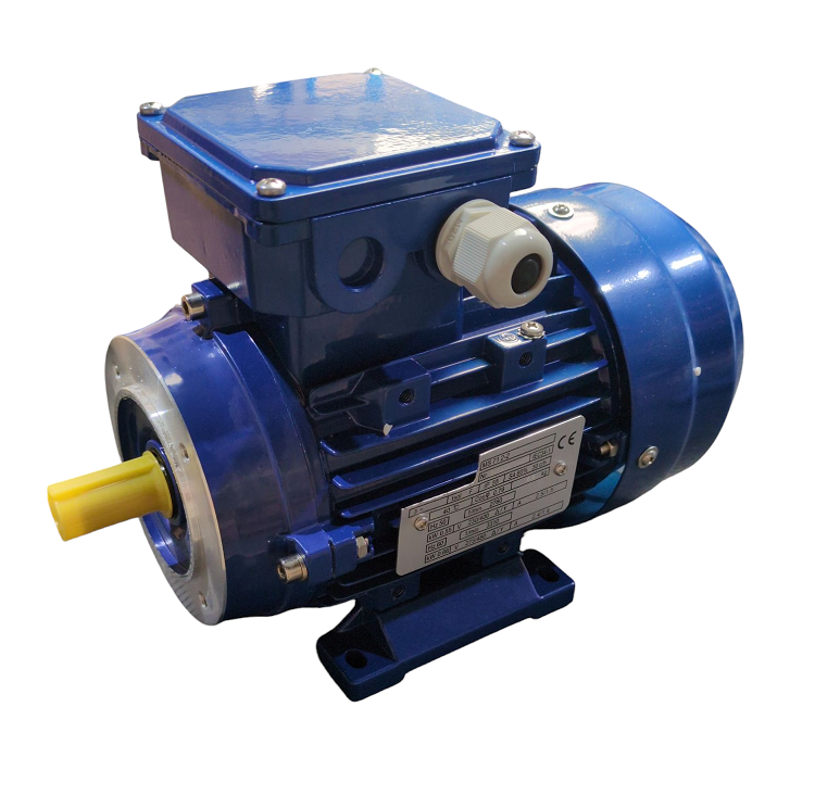 Compatible Delaval electric motor 0.55KW 380V for FMP55 995791-81 995791-81