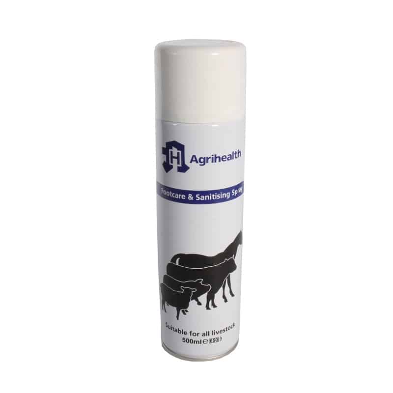 Purple footcare and sanitising spray – 500ml