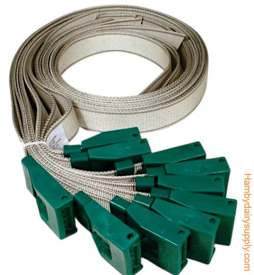 Neckband with fastener for cows (10) 7160-2718-080