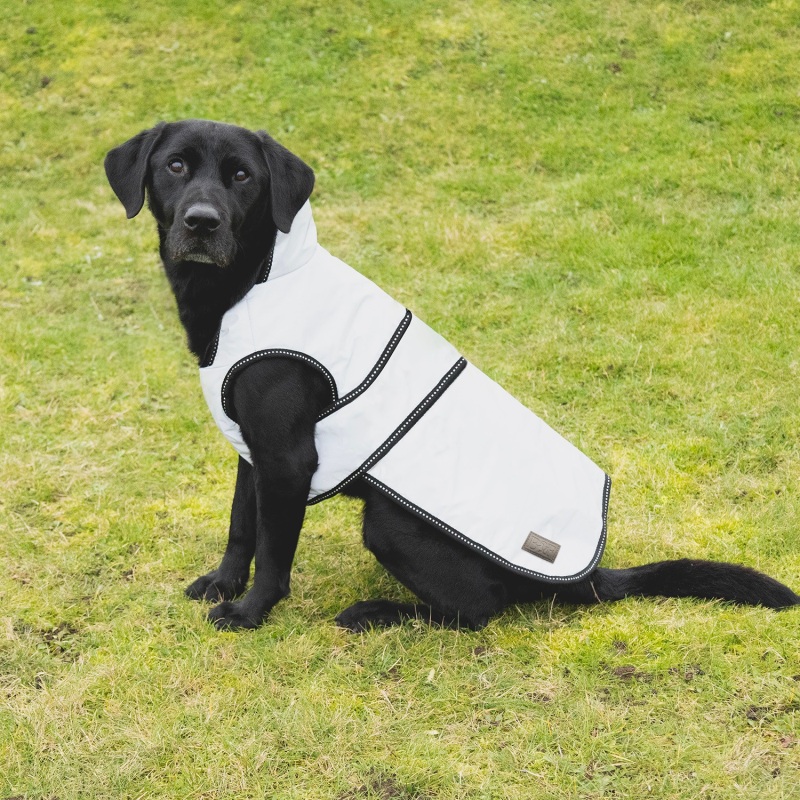 Benji & Flo Silva Reflective Dog Coat BAF0212